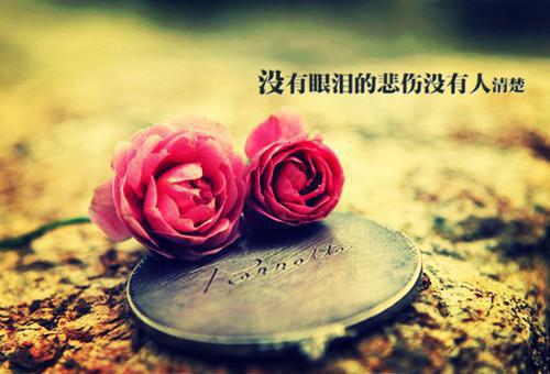 感悟生活的一句话经典句子