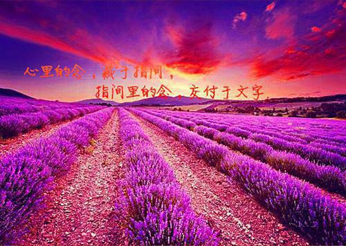 励志冷笑话小故事