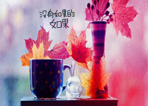 计算机实习教师评语
