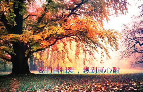 顾明逸陆翩翩江绾绾全文免费阅读无弹窗大结局_(顾明逸陆翩翩江绾绾免费阅读全文大结局)顾明逸陆翩翩江绾绾_最新章节列表（顾明逸陆翩翩江绾绾）