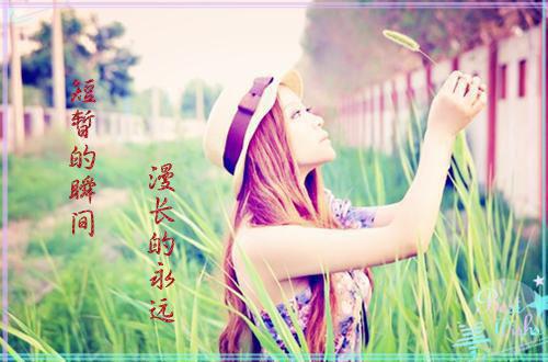 情分两瓣，花开一片