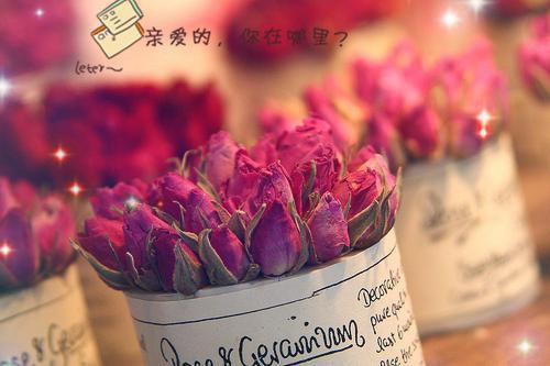 系统工程师的辞职报告