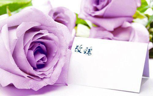 关于梦想的英文名言