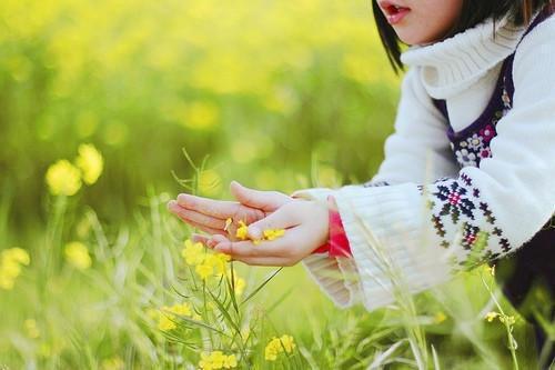 温月陆清远顾霖廷免费阅读重生回到未曾出嫁的那一年小说阅读