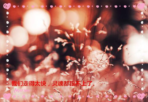 2023数学教师辞职报告范文