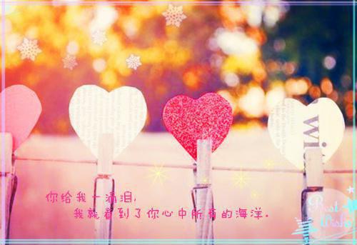 法务个人年度工作总结