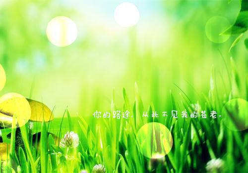 出版社编辑实习报告范文