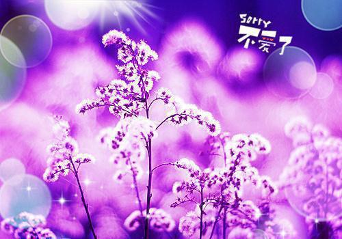 煽情生日快乐祝福语