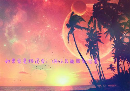关于乌龟的睡前故事乌龟先生的咖啡店