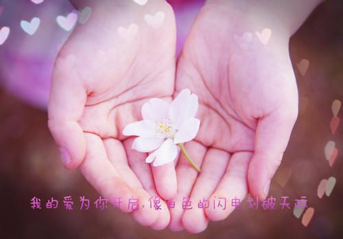 江衾影（衾影）全文免费阅读无弹窗大结局_（衾影免费阅读）江衾影无弹窗最新章节列表