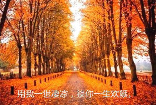 房产经纪人的辞职报告范文