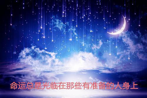 中国信息大学高校简历模板