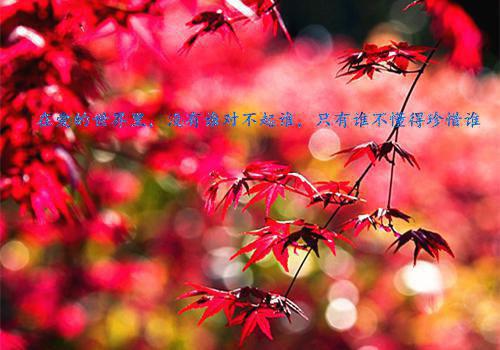 女生必看的励志格故事