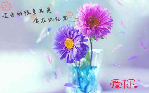 机关干部年终工作总结
