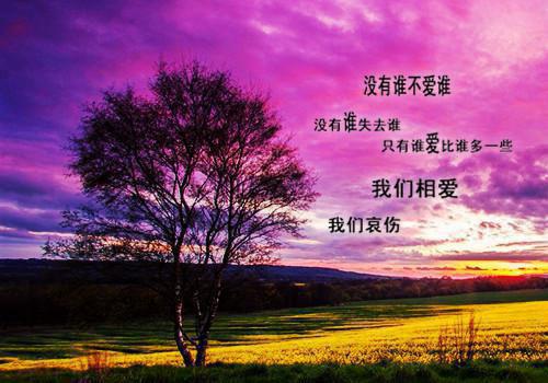 秋天早上问候语简短