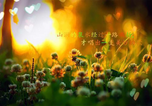 哲理散文1000字