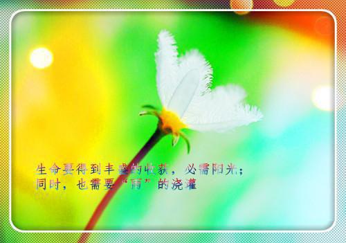 不能忽视的名言警句