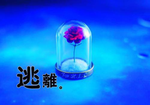 高中教师辞职报告模板范文大全