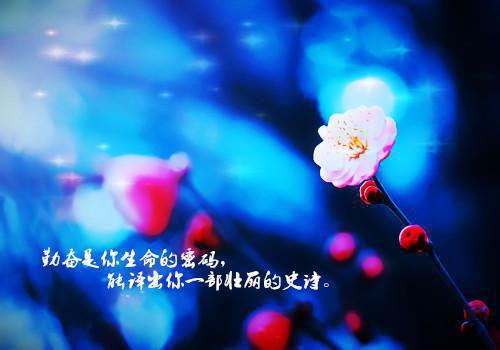 [英语散文]It is my brithday