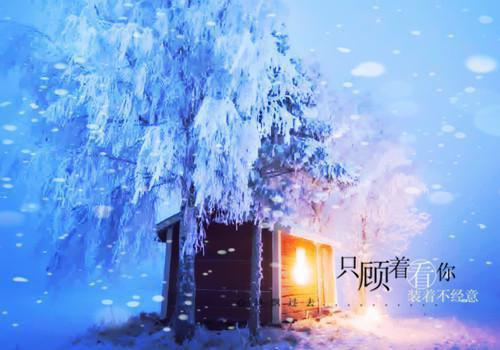 【精华】招商年终工作总结4篇