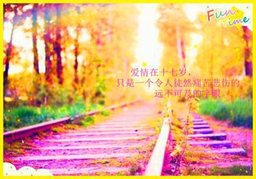 学校保卫科科长个人述职报告