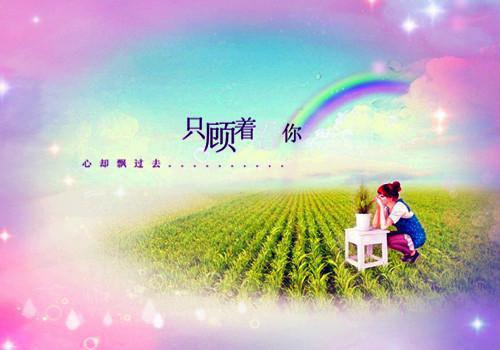 关于青春的哲理故事