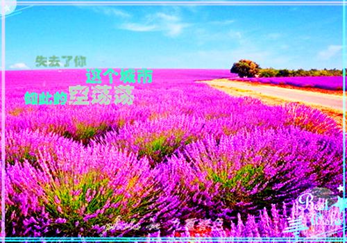 关于劳动名言名人名言