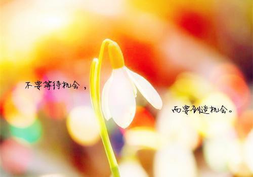 校园凄惨爱情故事日志