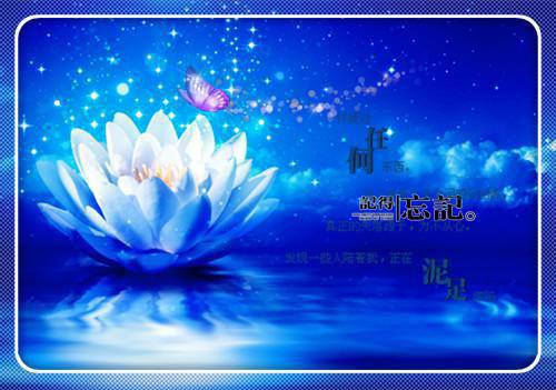 乡镇小学教务工作总结