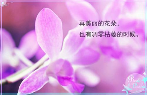 伯裘救太守的传说