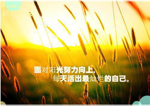 青春梦想担当散文