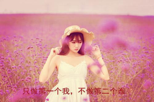 律师的辞职报告