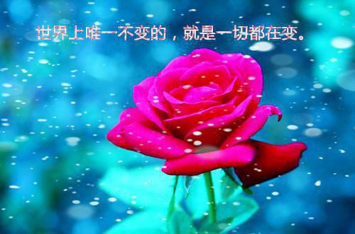 辞职报告表格是怎样的