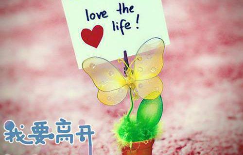 有关抵押借款合同四篇