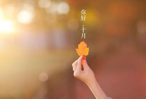 【精选】员工辞职报告范文汇总9篇