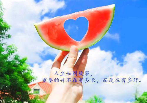 食堂厨师工作总结范文4篇