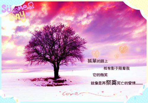 关于心灵的现代诗歌