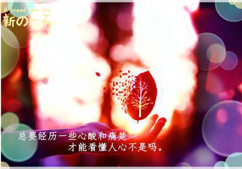 商场保安辞职信