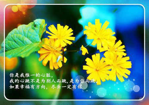 热爱生命的励志名人名言