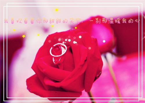 苏颜薛迟完结小说免费在线阅读_ 苏颜薛迟小说最新章节阅读