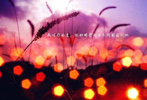 2023年七夕节单身的伤感散文