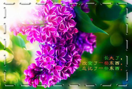 班长年终个人工作总结