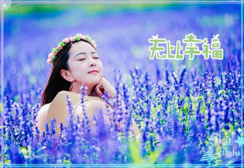 小学寓言故事有哪些