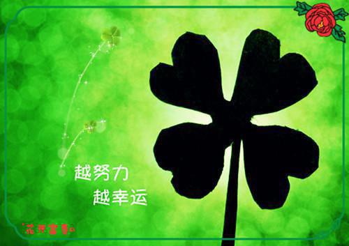关于父亲母亲的散文