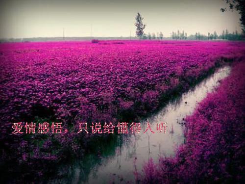自编寓言故事50字自编寓言故事作文