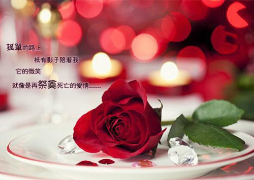 三八妇女节诗歌——《写给妈妈的诗》
