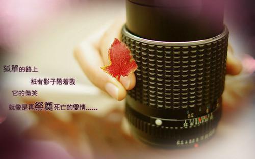 厨师辞职报告