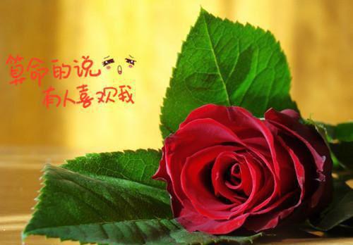 春天的深处