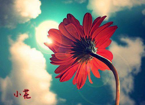 化学教师辞职报告范文