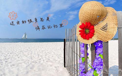 秦欣意沈钊凯重生八零，团长妻子我不要了无删减（秦欣意沈钊凯：重生八零，团长妻子我不要了结局+番外）全文免费阅读无弹窗大结局_秦欣意沈钊凯重生八零，团长妻子我不要了完本小说全章节阅读（秦欣意沈钊凯：重生八零，团长妻子我不要了结局+番外）